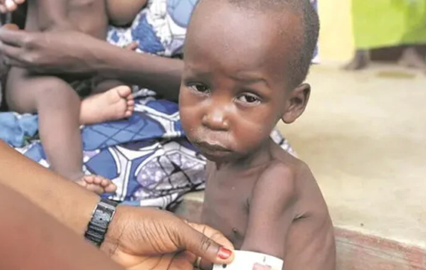 4.3m Nigerians in Borno, Adamawa, Yobe face acute hunger