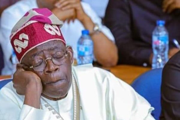 Tinubu’s 2025 Budget From Hell Dripping With Criminality