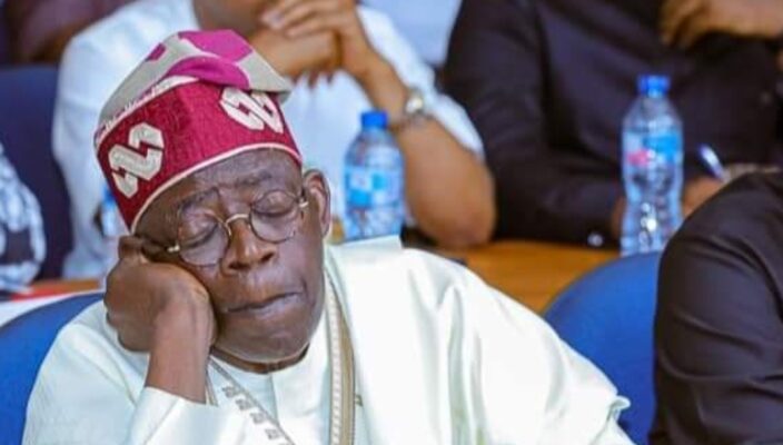 Tinubu’s 2025 Budget From Hell Dripping With Criminality
